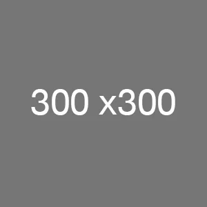 logo icon copy 2
